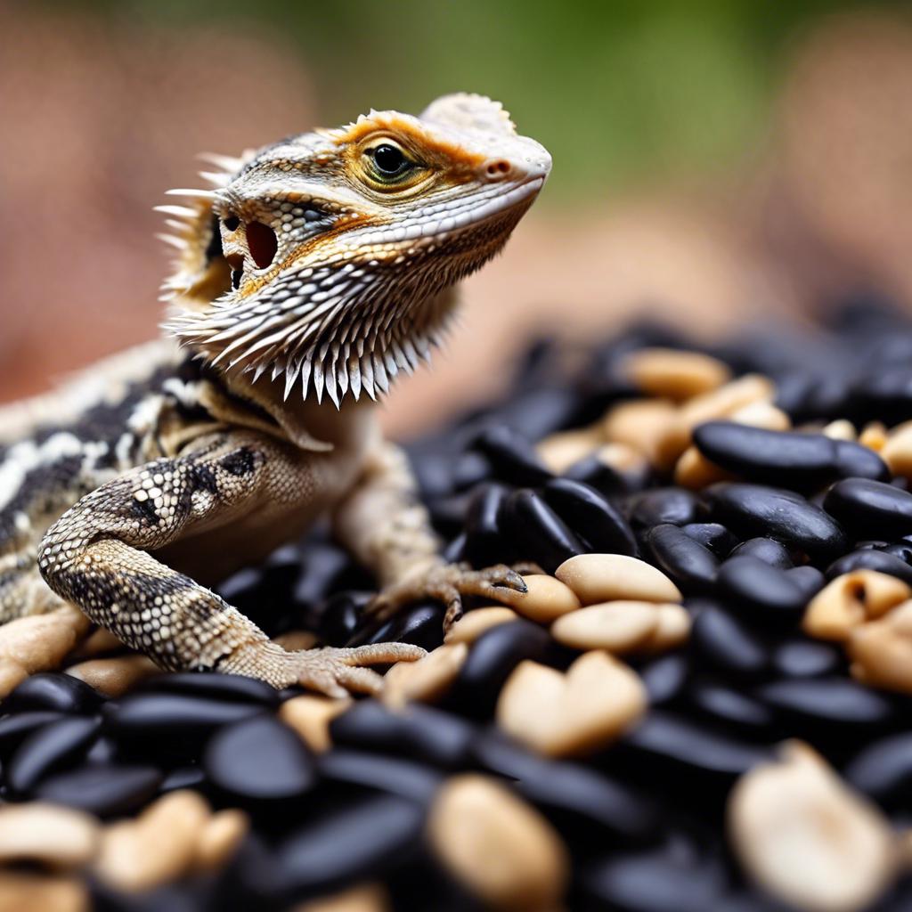 Can Bearded Dragons Eat Black Beans? A Guide to Feeding Your Beardie – Exploring Whether Bearded Dragons Can Safely Consume Black Beans