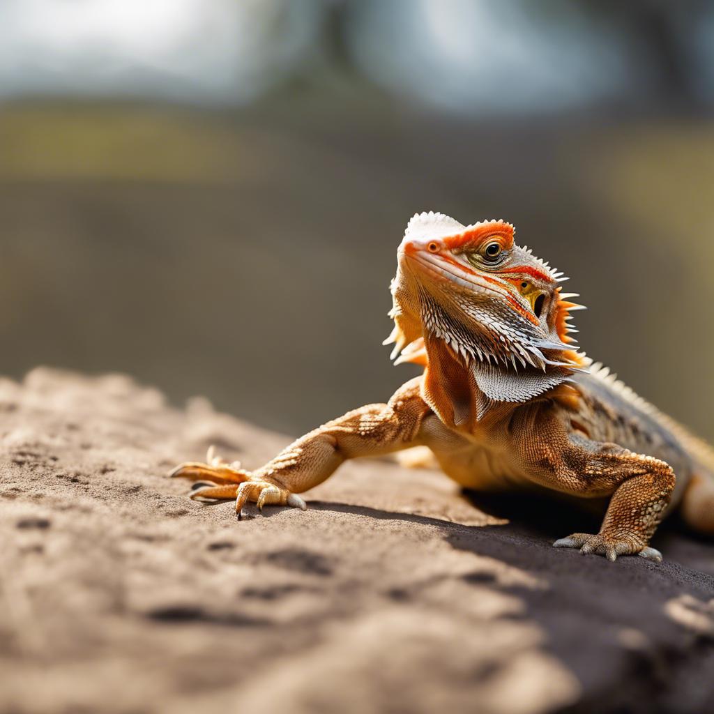 Discover How to Safely Leave Your Bearded Dragon Alone!