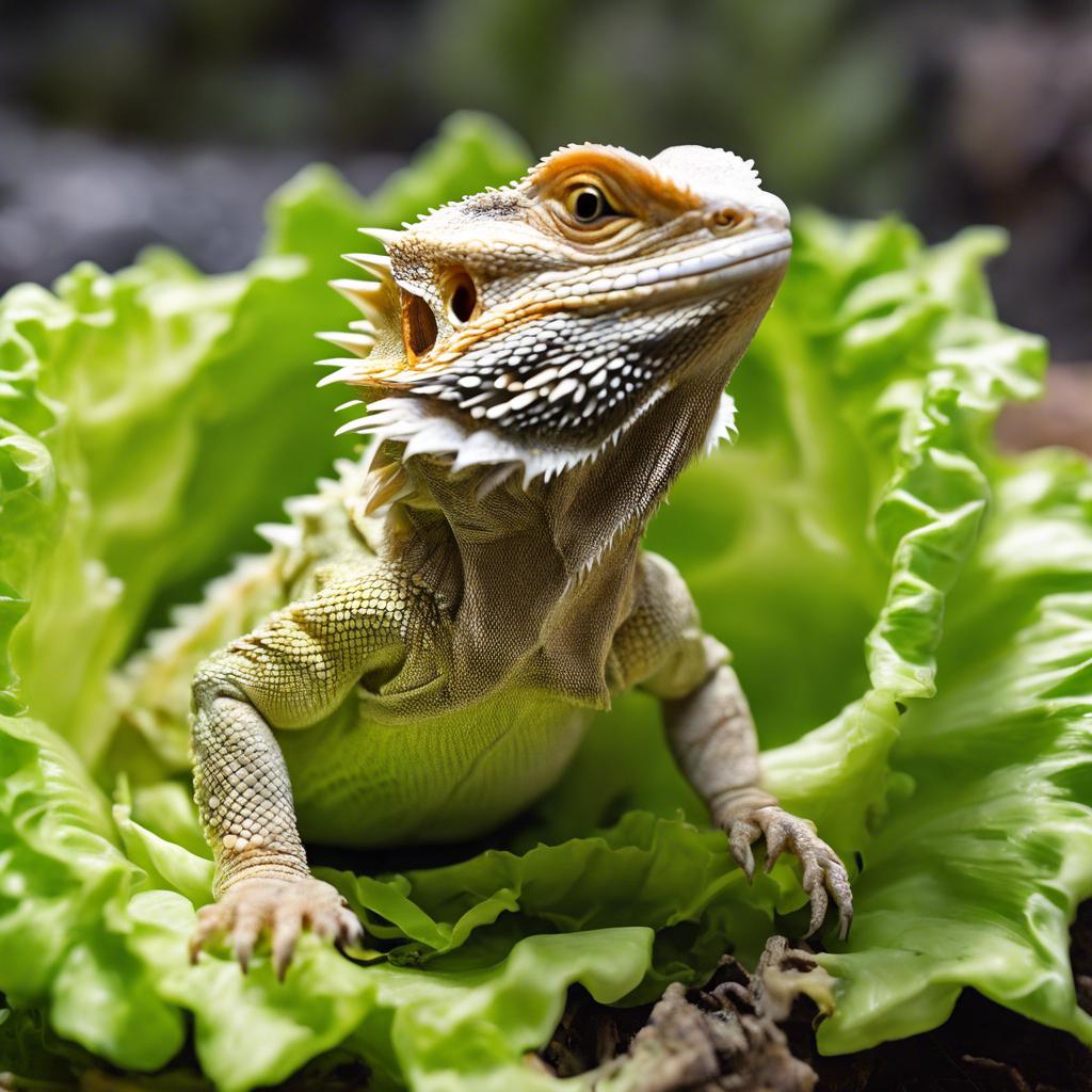 Discover: Can a Bearded Dragon Safely Enjoy Romaine Lettuce