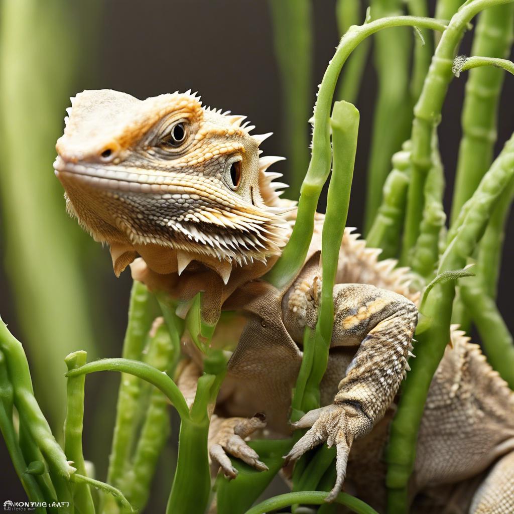 Discover: Can Bearded Dragons Safely Eat Pea Pods? Your Ultimate Guide to Feeding Your Reptile