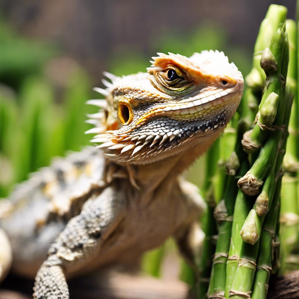 Discover: Can Bearded Dragons Safely Enjoy Raw Asparagus in Their Diet
